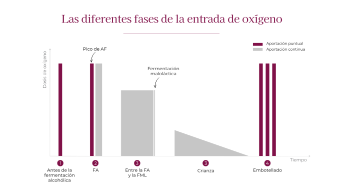 Diagrama Tiempos de entrada de oxígeno